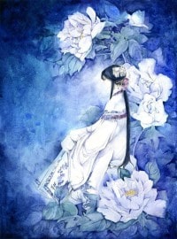大宋第一女婿