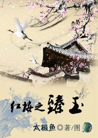 《(红楼同人)红楼之臻玉》