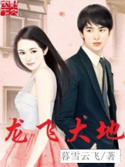 《龙飞大地》