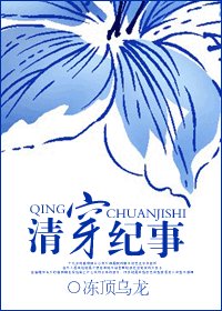 《清穿纪事》