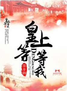 《皇上,等等我》