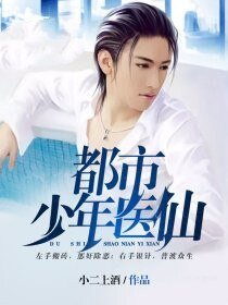《都市少年医仙》