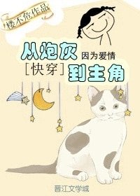 《从炮灰到主角》