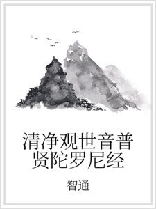 《清净观世音普贤陀罗尼经》