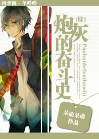 《(综同人)炮灰的奋斗史》