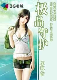 《极品守护》