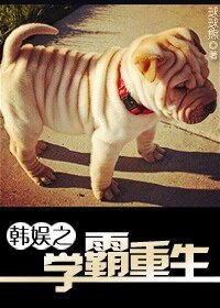 《(韩娱同人)韩娱之学霸重生》