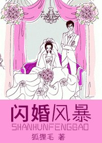 《闪婚风暴》