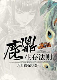 《(鹿鼎记同人)鹿鼎生存法则》