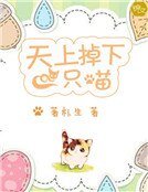 天上掉下一只喵