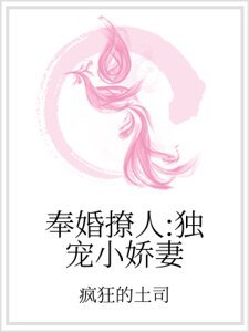 《奉婚撩人:独宠小娇妻》