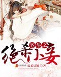 《宅斗之绝杀小妾》