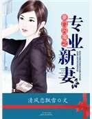 《豪门闪婚之专业新妻》