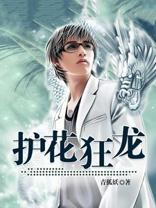 《护花狂龙》