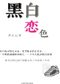 《黑白禁恋-一对双胞胎兄弟和他们的好基友》