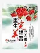 《重生完美福晋》