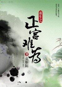 重生之正宫难为