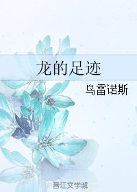 《龙的足迹》