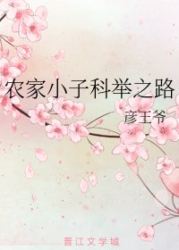 《农家小子科举之路》