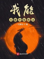 《我能无限升级阵法》
