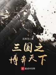 《三国之博弈天下》