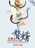 《红楼之赘婿》
