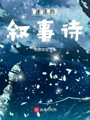 《迷途的叙事诗》