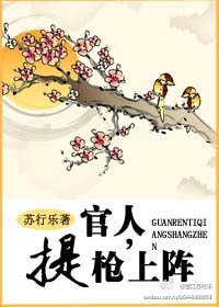 《官人,提枪上阵》