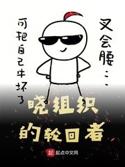 晓组织的轮回者