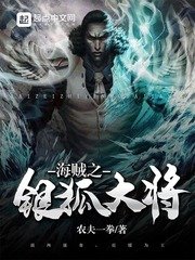 《海贼之银狐大将》