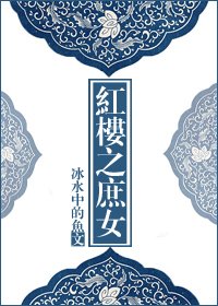 《红楼之庶女》