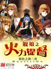 《舰娘之火力提督》