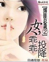《绑匪总裁②:女人,乖乖投降》