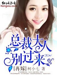 《再嫁,总裁大人》