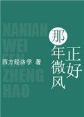 《那年微风正好》