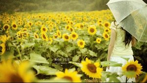 《此去经年 花开无忧》