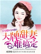 闪婚9分9秒：大牌甜妻难搞定
