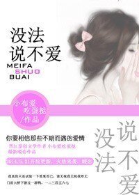 《没法说不爱》