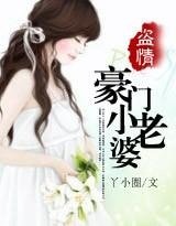 《盗情:豪门小老婆》