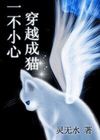 《一不小心穿越成猫?》