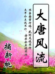 《大唐风流》