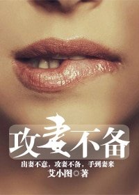 《攻妻不备》