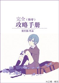 《完全攻略手册》