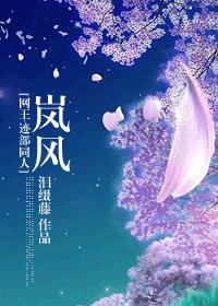 《(网王+花样同人)岚风》