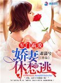 军门霸爱:娇妻休想逃