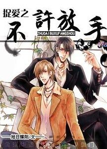 捉爱之不许放手