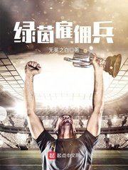 《绿茵雇佣兵》