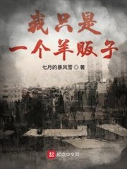 《我只是一个羊贩子》