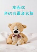 《谢谢你,我的非霸道总裁/络华年》