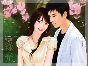 《不二嫁(夫欺之道之二)》